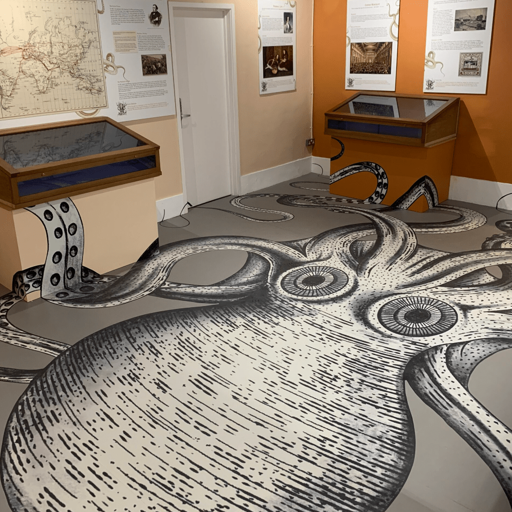 porthcurno octopus floor